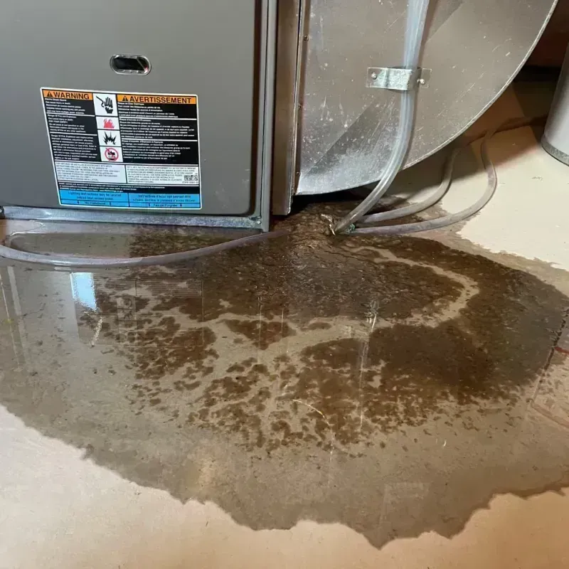 Appliance Leak Cleanup in Glencoe, IL